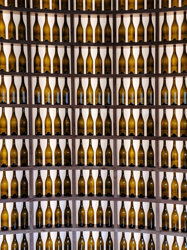 Photograph by Tatyana