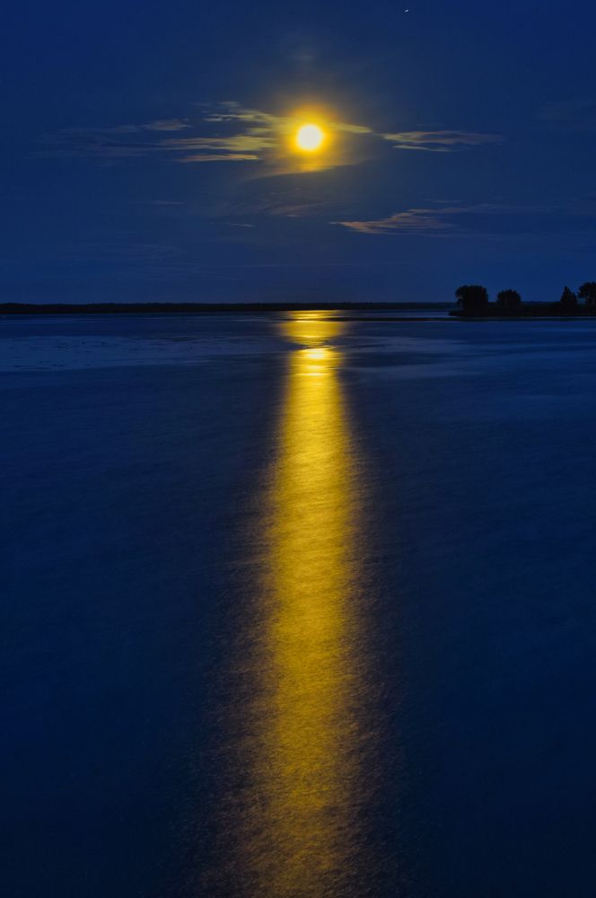 Photograph by Janis Serdienis