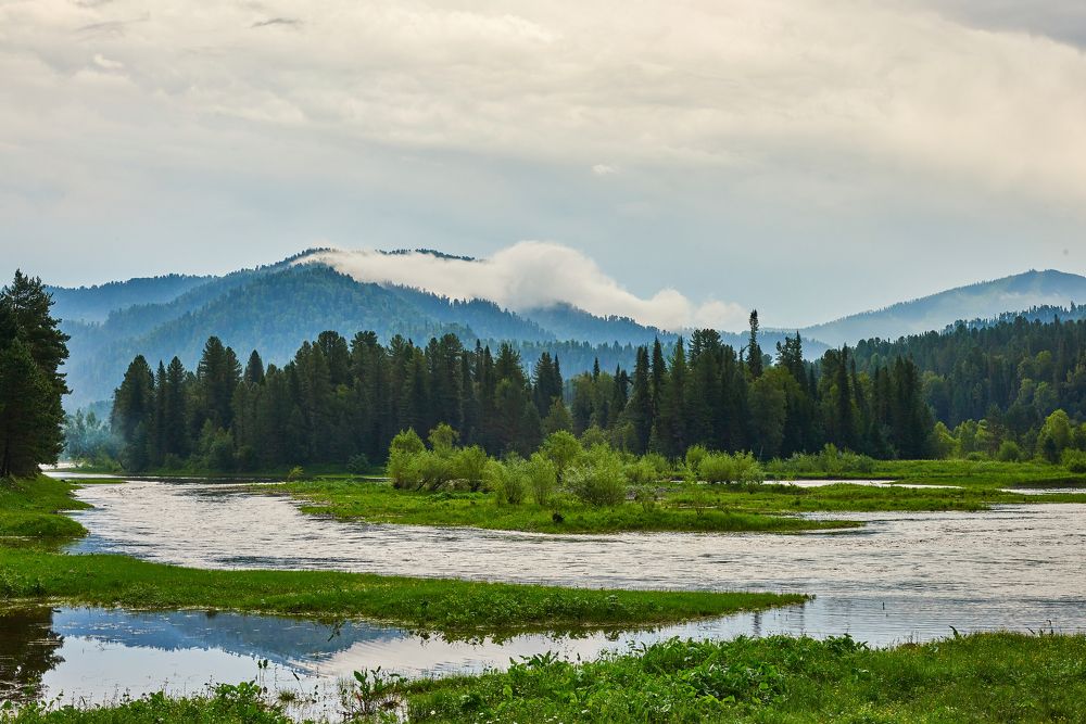 Верховья реки Бия. Вечер. После дождя