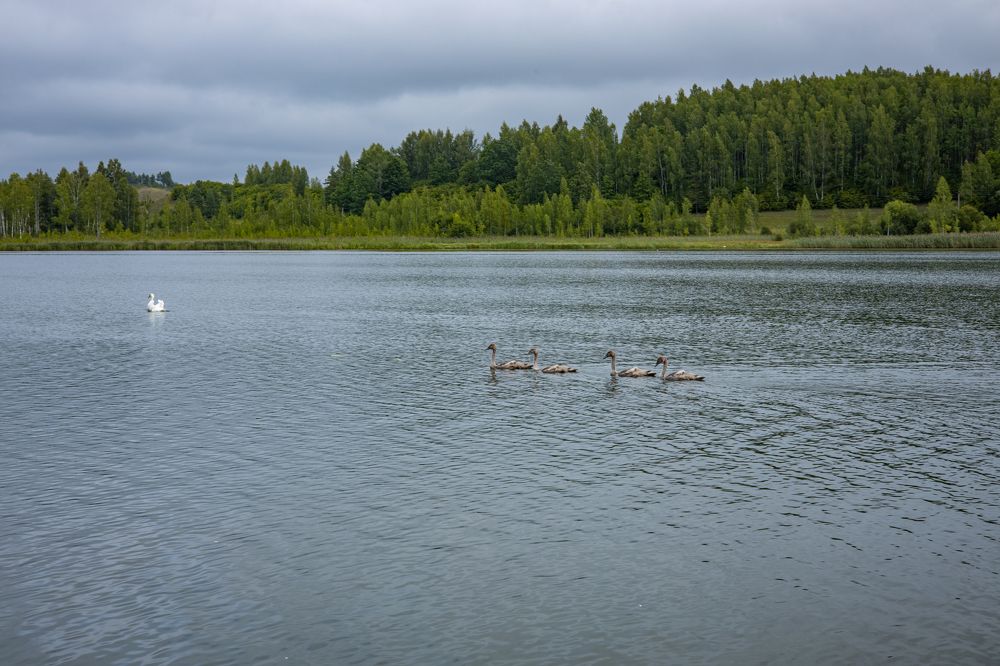 Photograph by Владислав Капанов