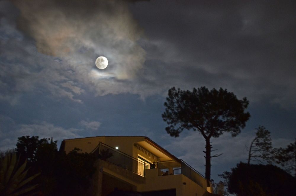 Photograph by Валерий Наумов