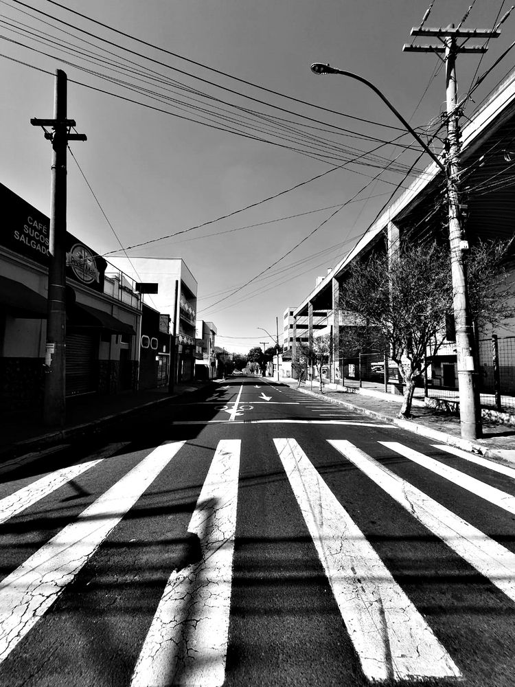 Photograph by Régis Santos