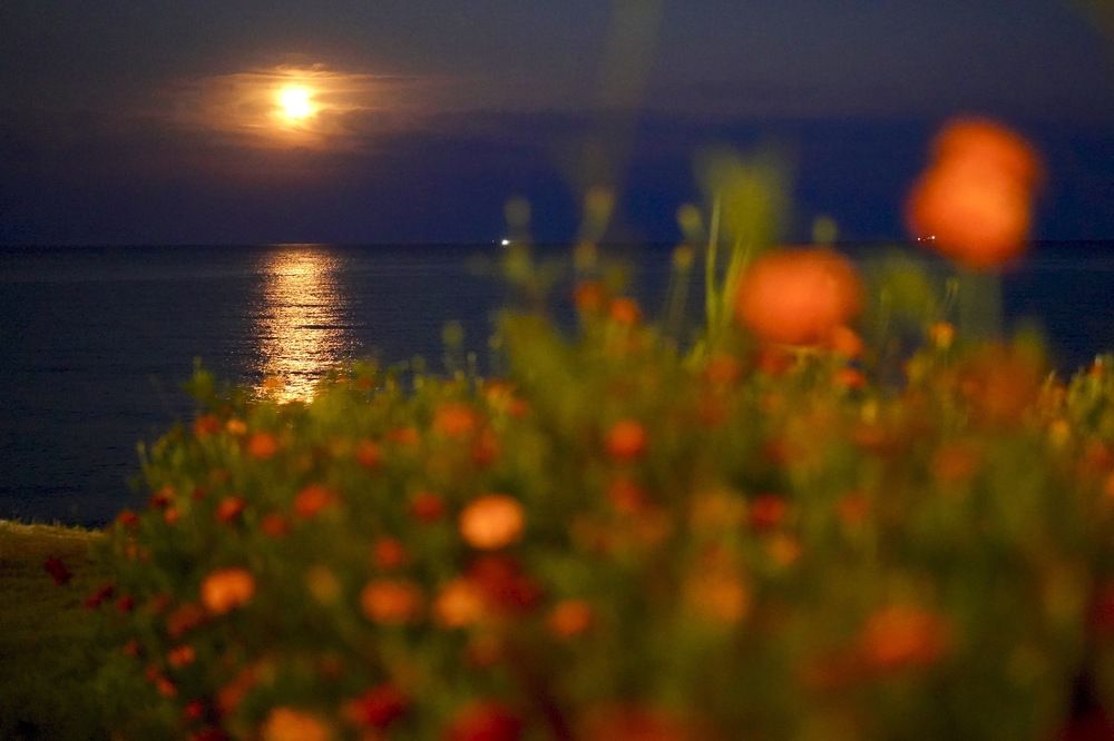 Photograph by Алексей Шевченко