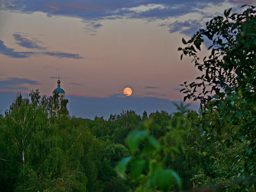 Фотография автора Анатолий Борисов