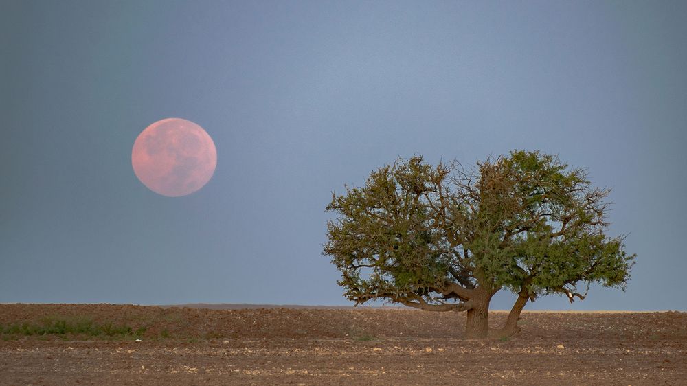 Photograph by Amir Ramezani