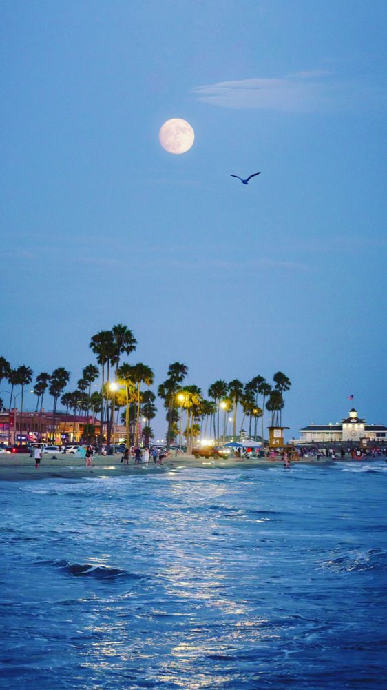 Photograph by Natalia