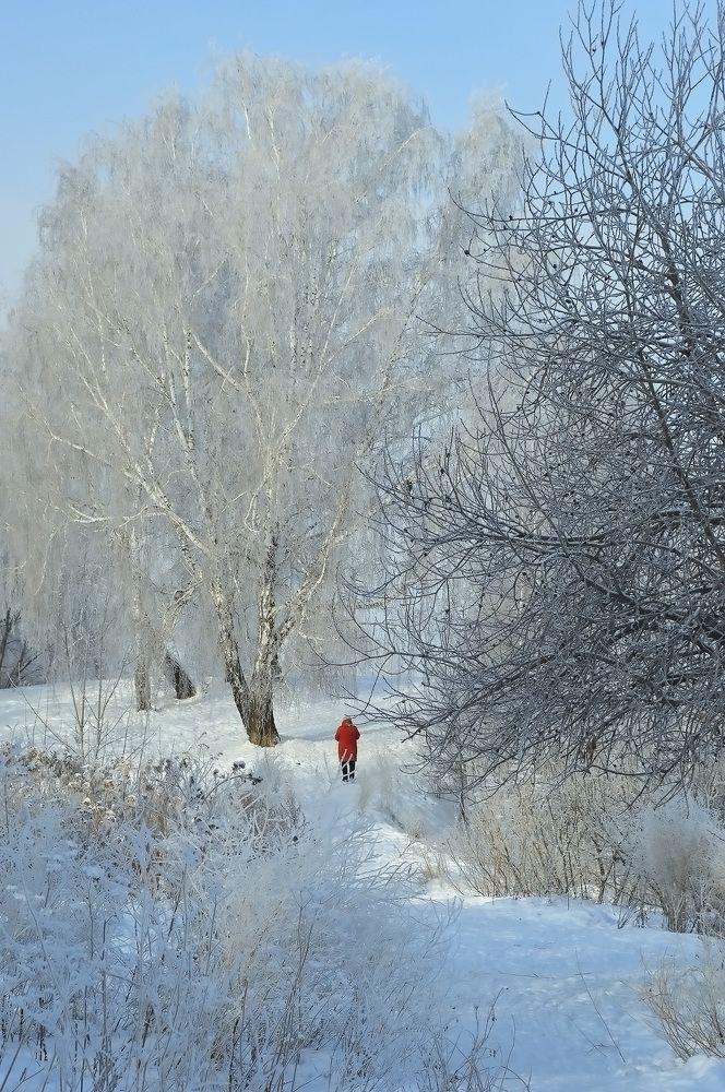 Photograph by Ирина Александрович