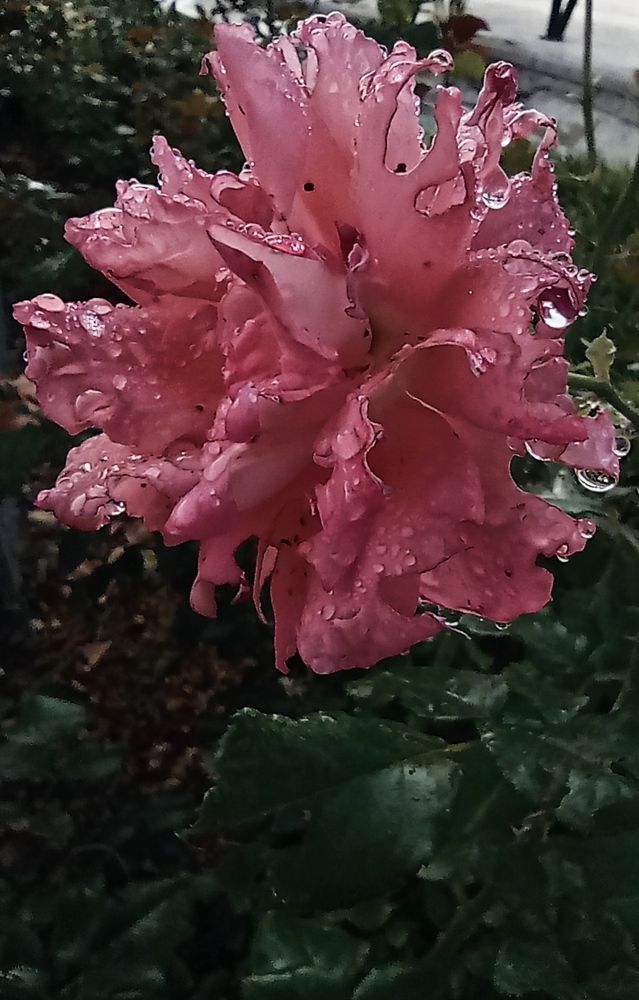 Фотография автора Аида Сидикходжаева