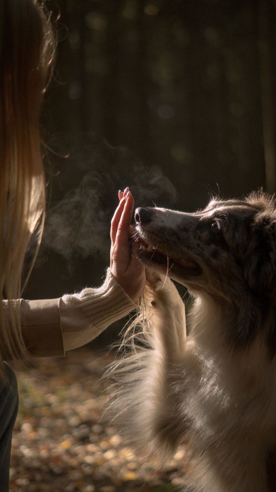 Photograph by Ксения