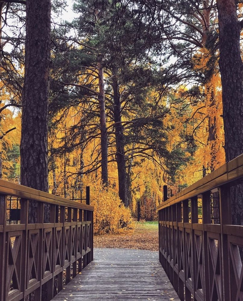 Photograph by Татьяна Волохова