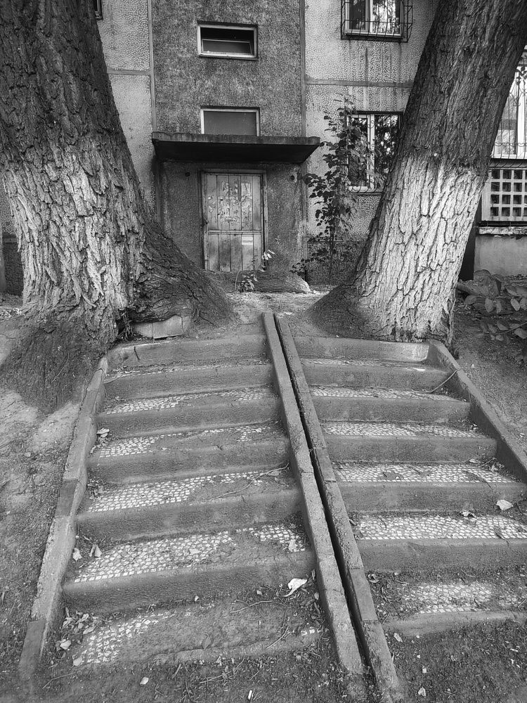 Photograph by Farkhad