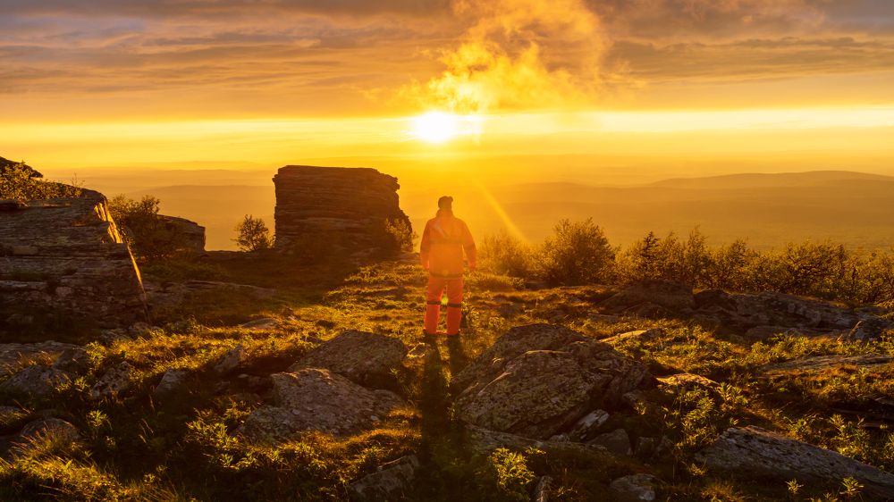 Photograph by Александр Соколов