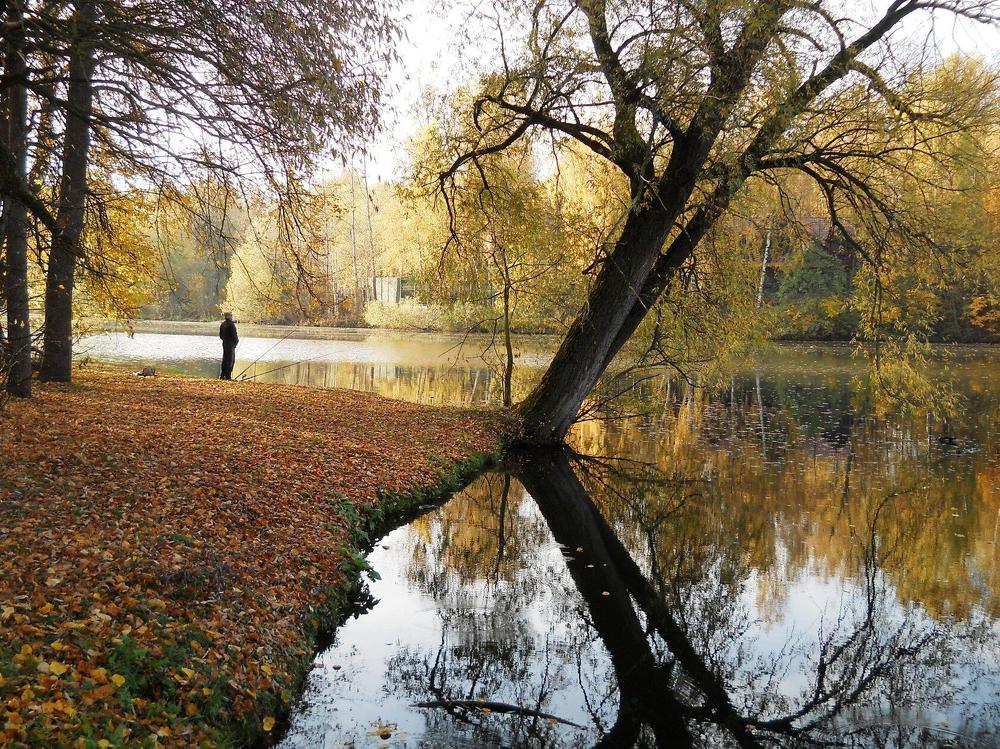 Photograph by Анна Цымбал