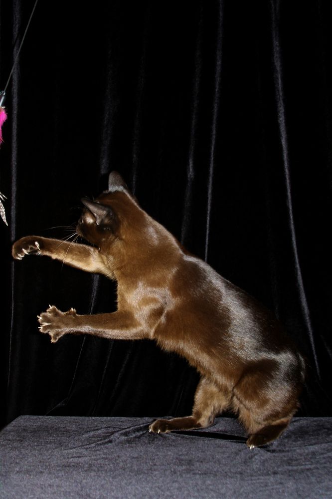 Фотография автора Надежда Лисицына