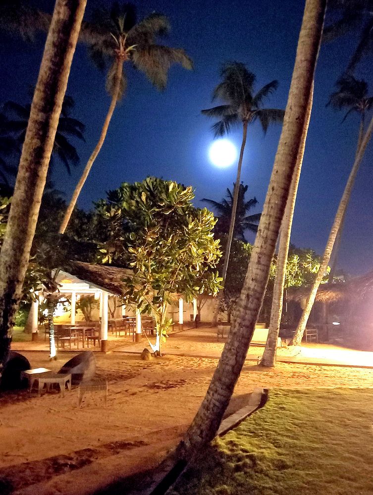 Луна во всей красе