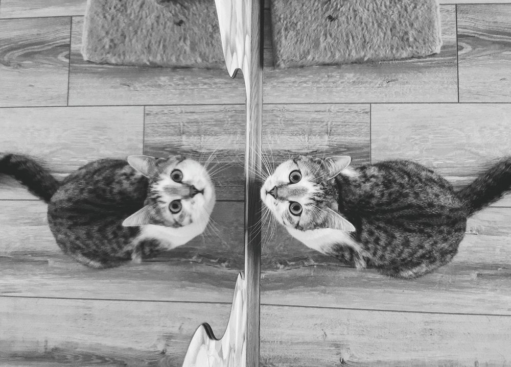 Photograph by Liudmila Pilets