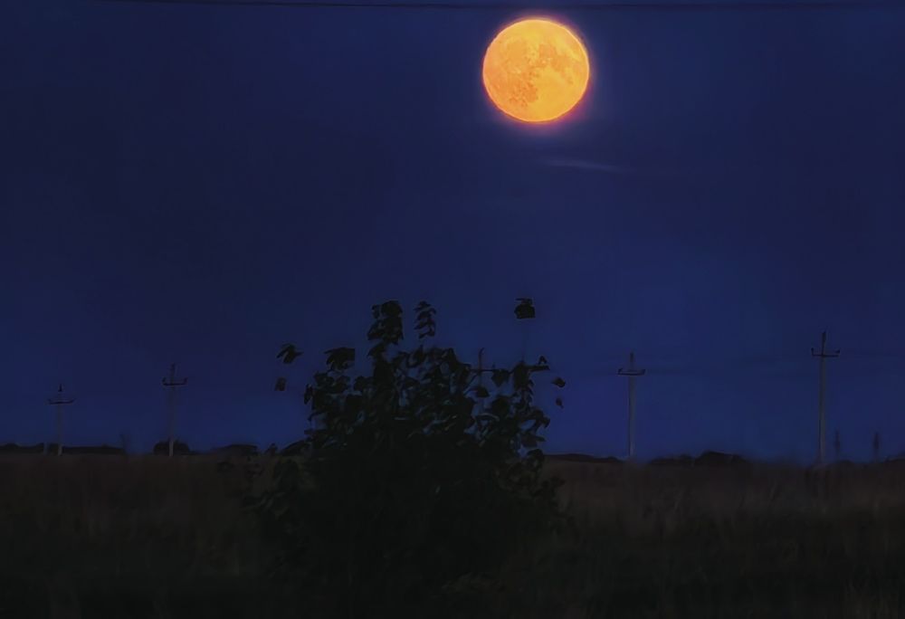 Photograph by Maiya Bulatova