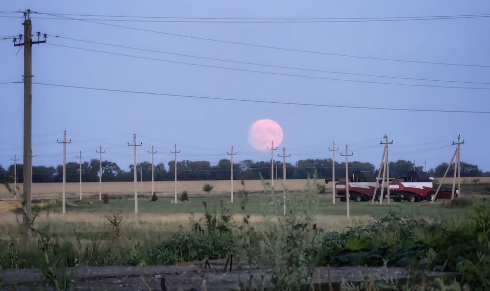 Photograph by Maiya Bulatova