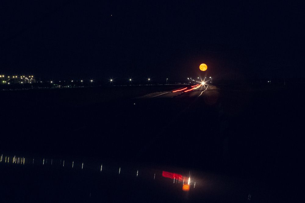 Photograph by Elvira Maksimova