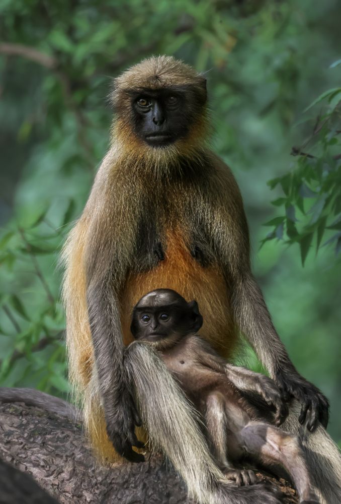 Photograph by Mayank Bhushan