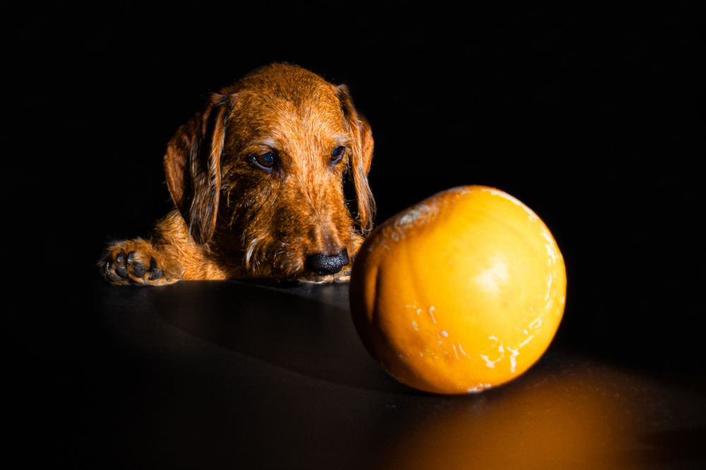 Photograph by Евгений Жуланов