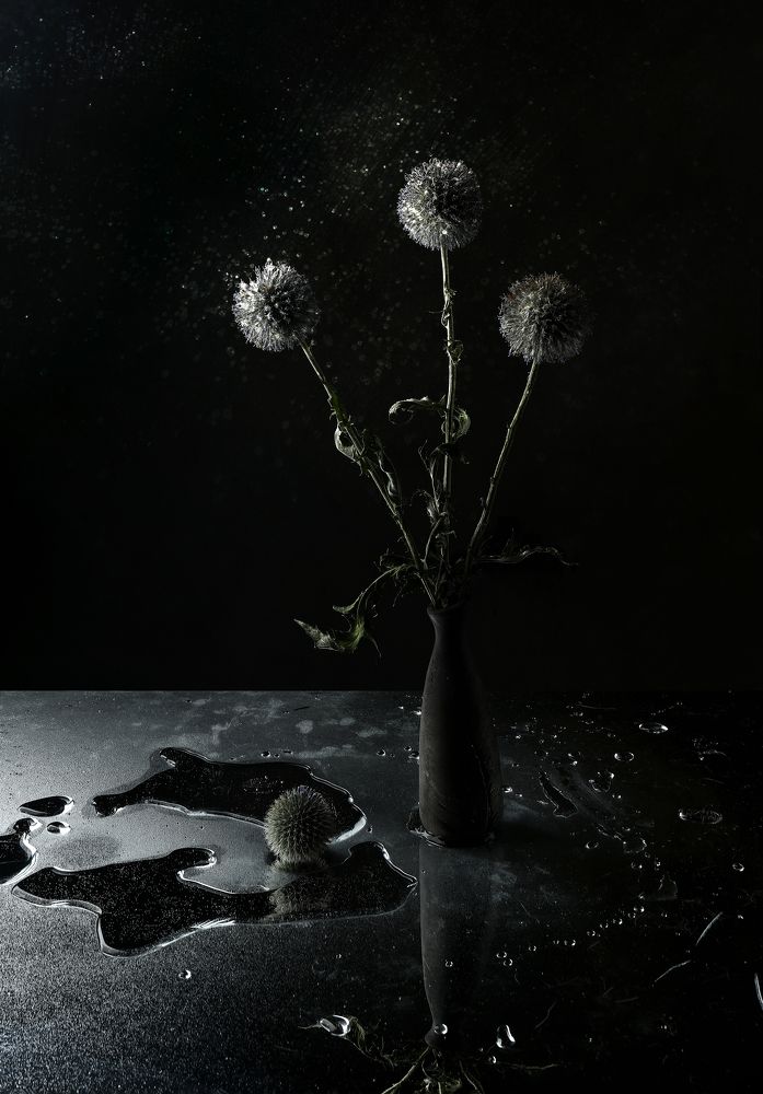 Photograph by Наталья Туева