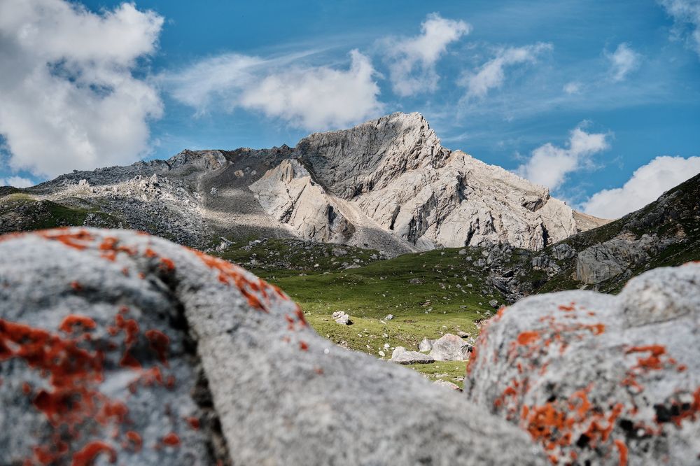 Photograph by Александр Князев