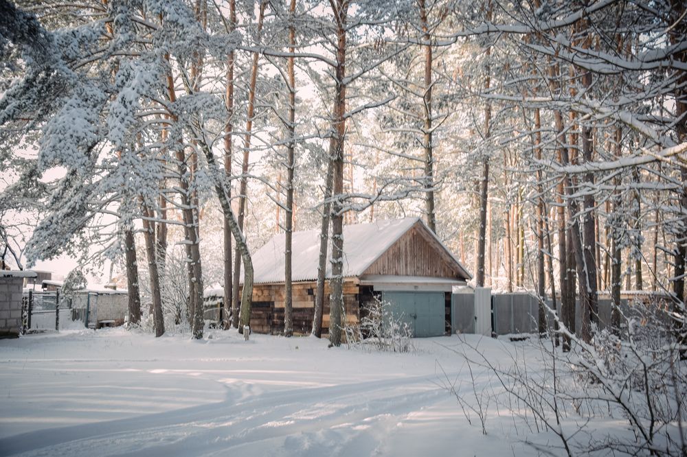 Фотография автора Ксения Вабищевич