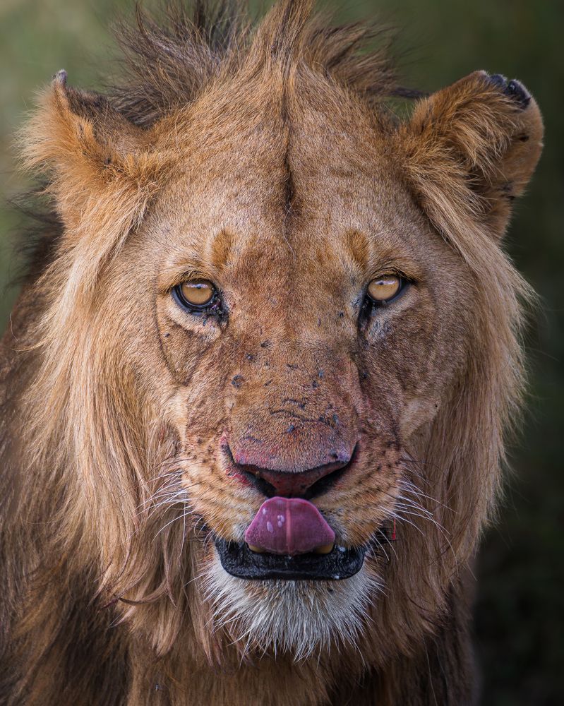 Photograph by Jayakumar MN