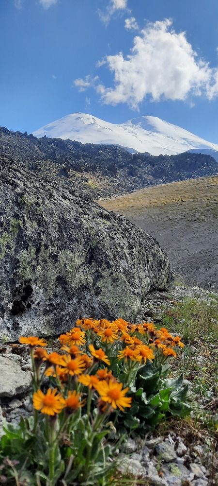 Photograph by Елена