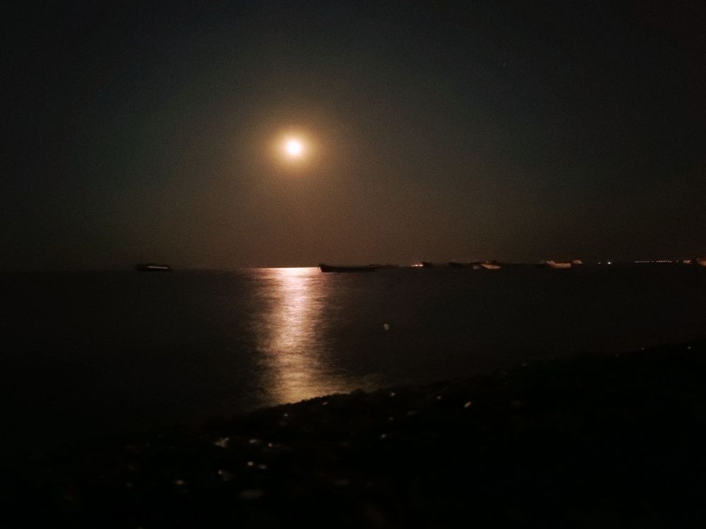 Фотография автора OXANA MARSOVA