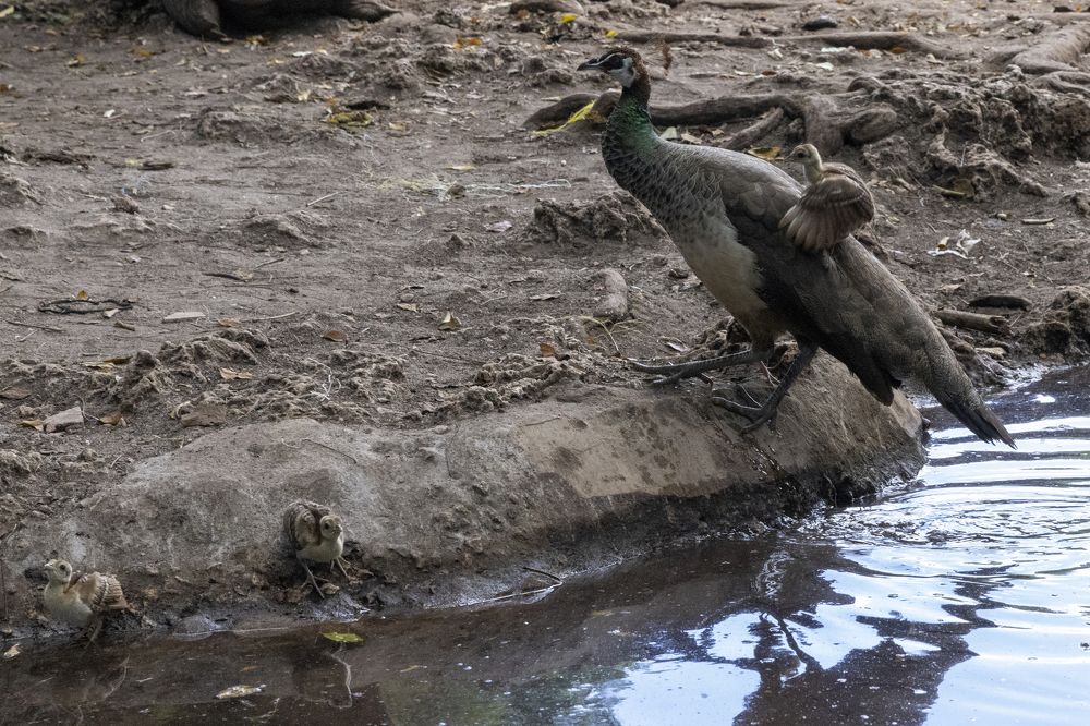 Photograph by Иван Соловьёв