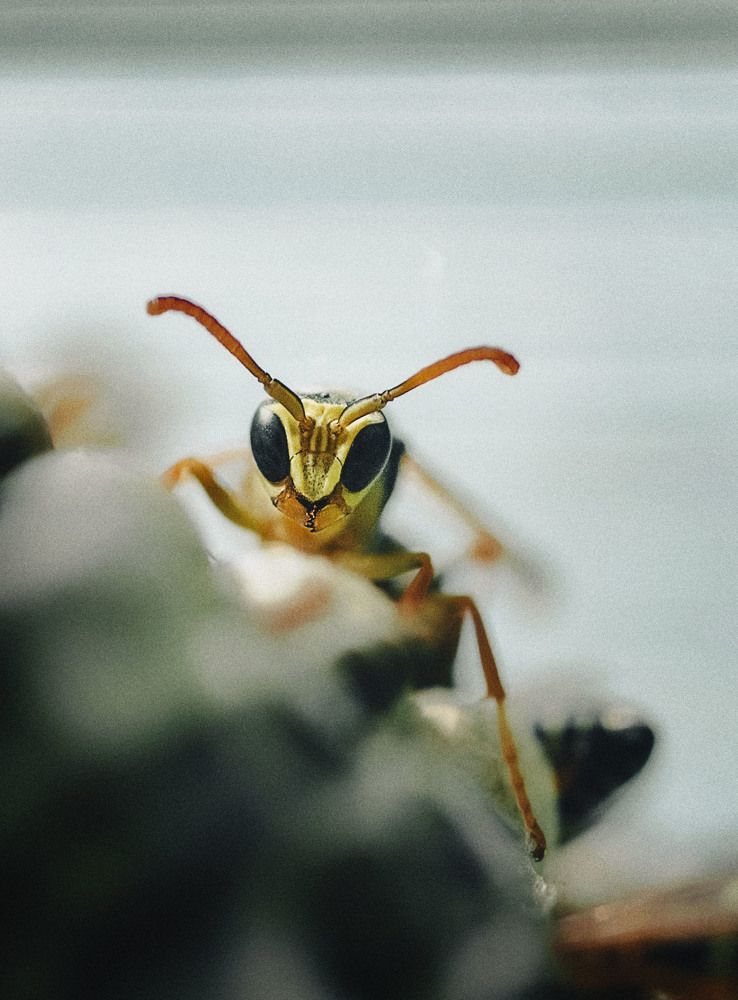 Photograph by Юлия Лушникова