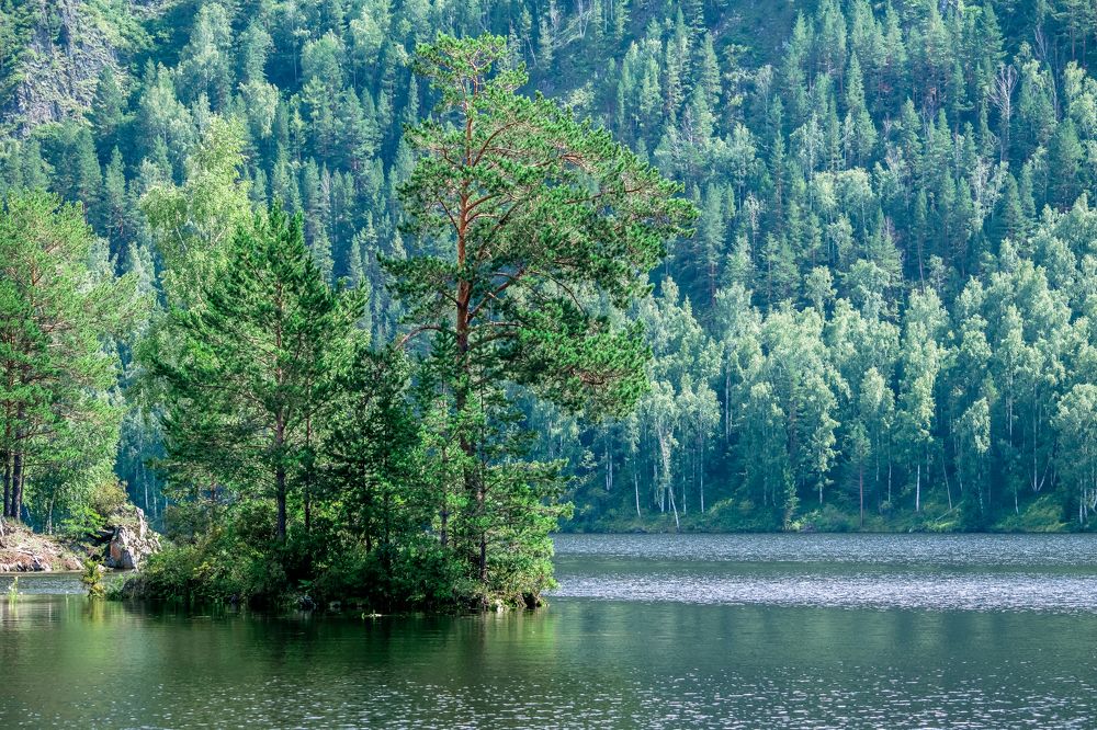 Photograph by Светлана Козлова