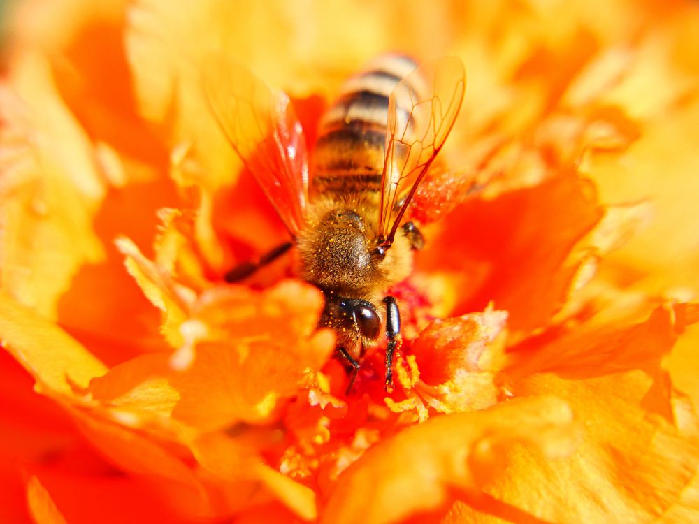 Photograph by Силвия Блажева