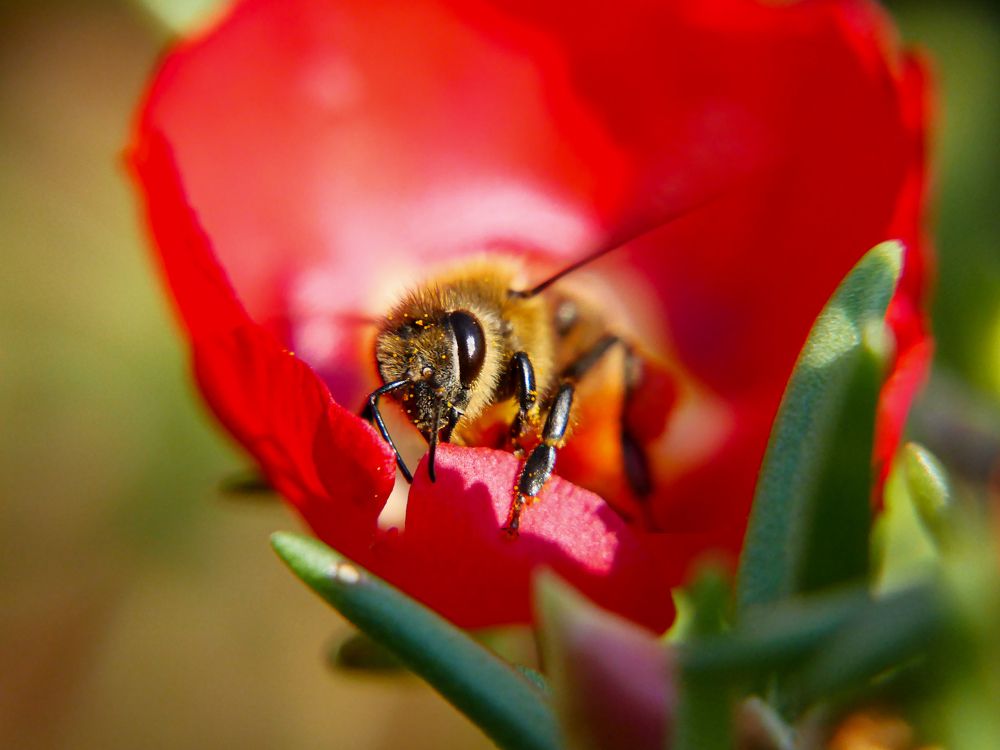 Photograph by Силвия Блажева