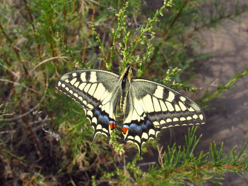 Photograph by Денис Веску