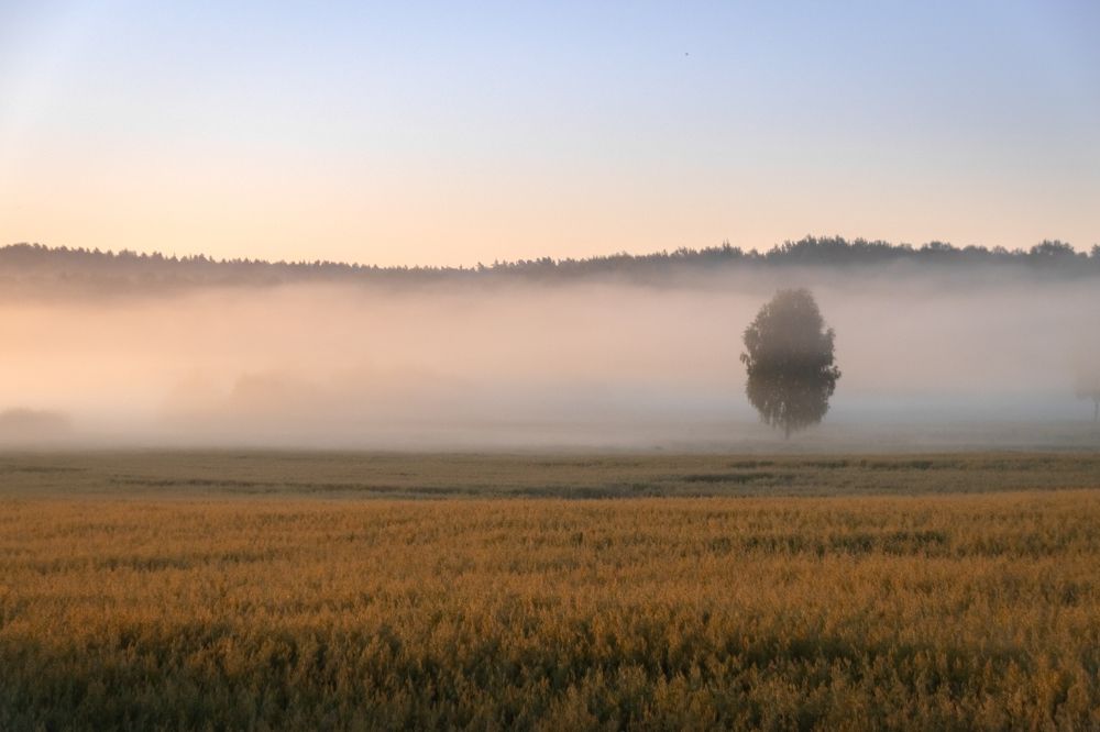 Photograph by Татьяна Романова