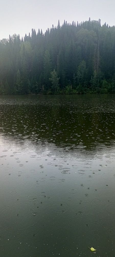 Photograph by Светлана