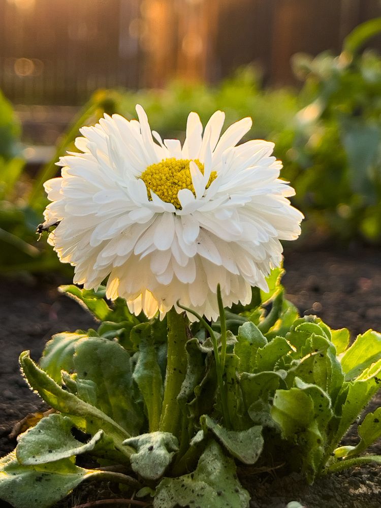 Photograph by Елена Сиушова