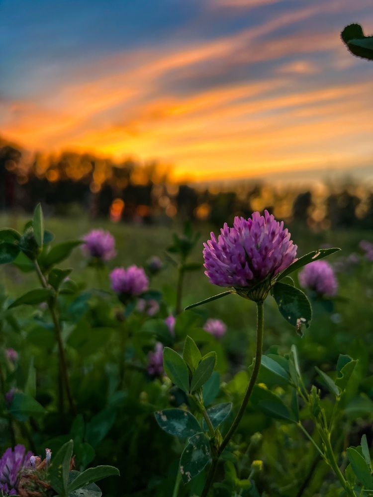 Photograph by Елена Сиушова