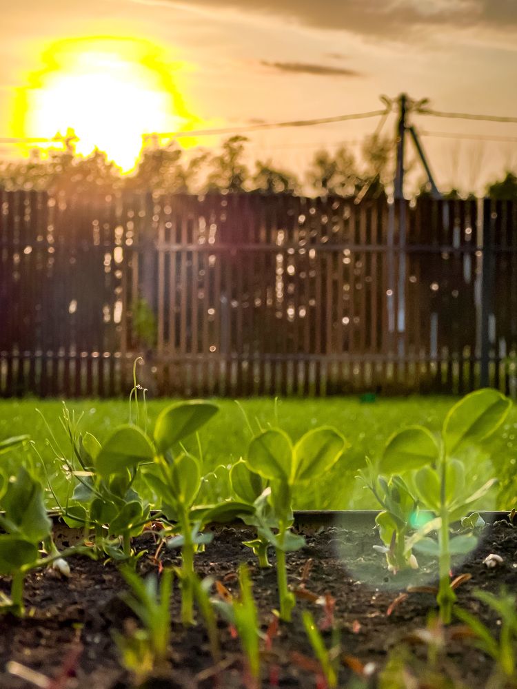Photograph by Елена Сиушова
