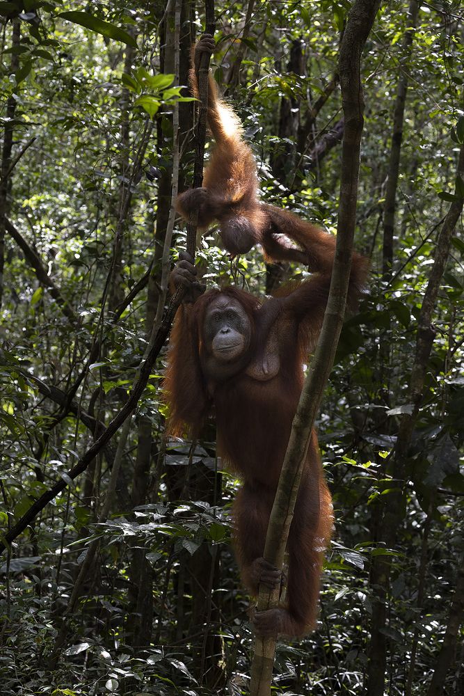 Фотография автора Anil Prabhakar