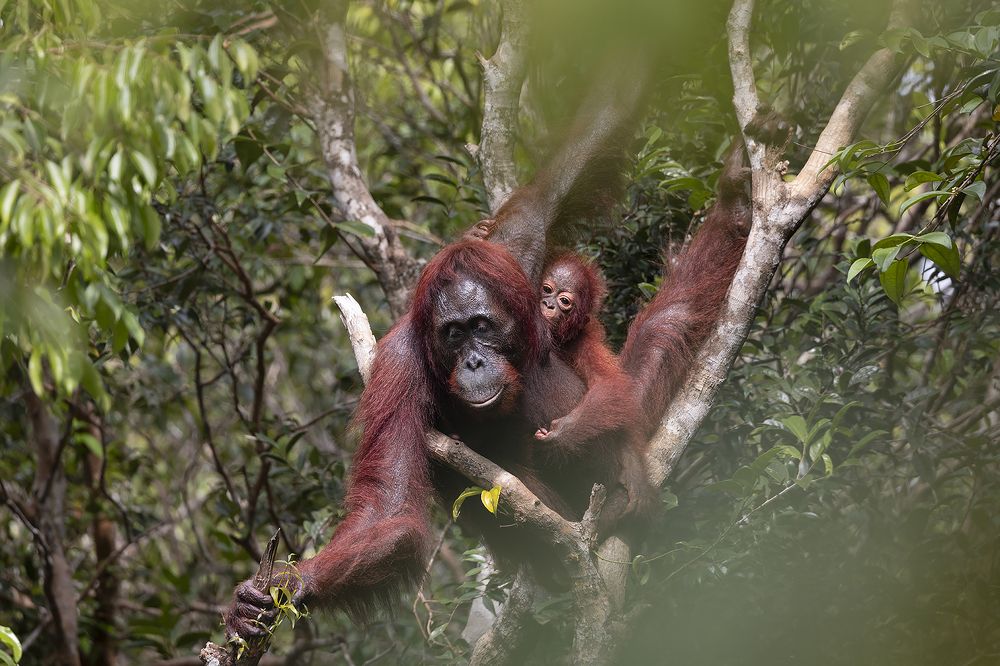 Photograph by Anil Prabhakar