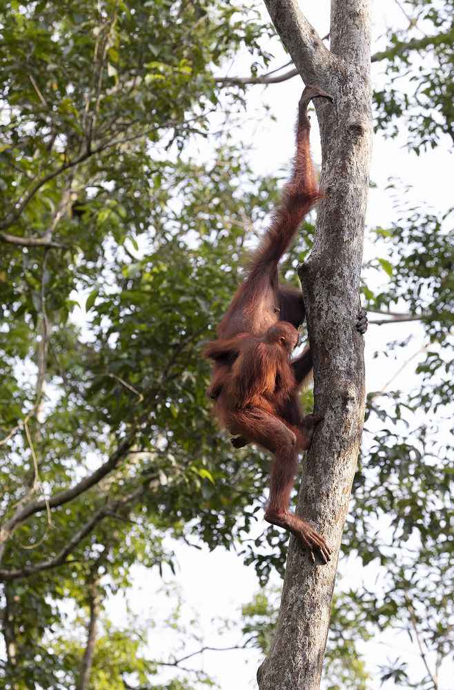 Фотография автора Anil Prabhakar