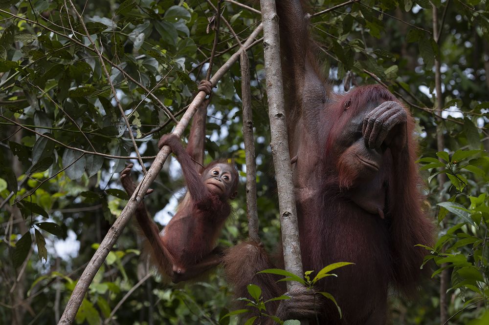 Фотография автора Anil Prabhakar