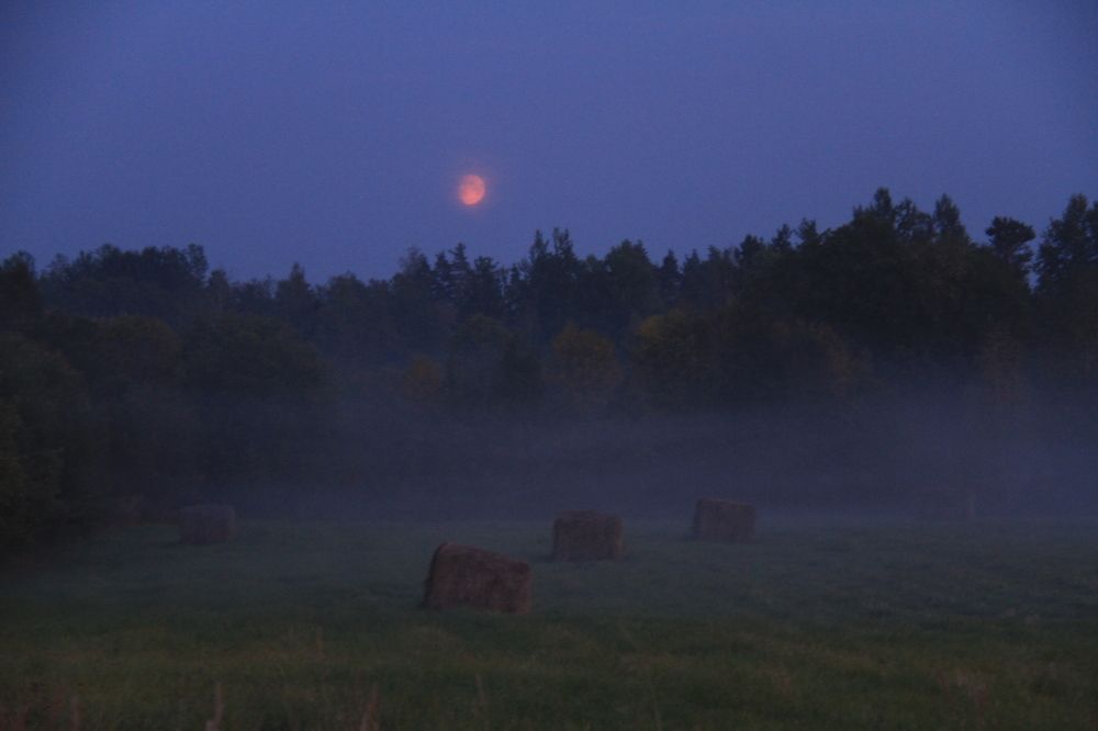 Фотография автора Анастасия Зверева