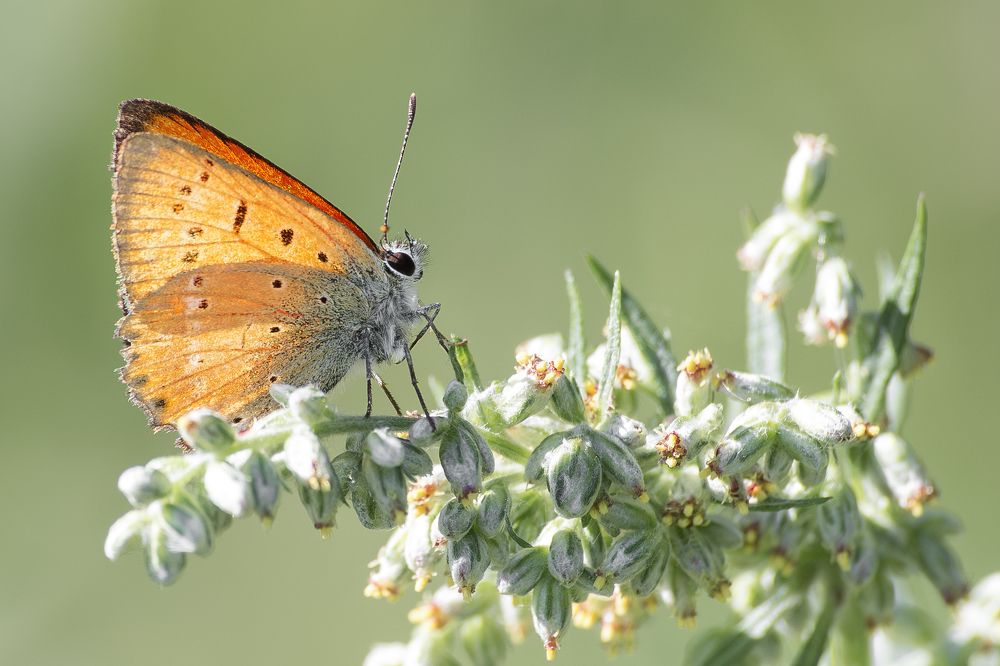 Photograph by Екатерина Кондрахина