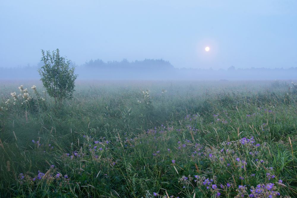 Photograph by Максим