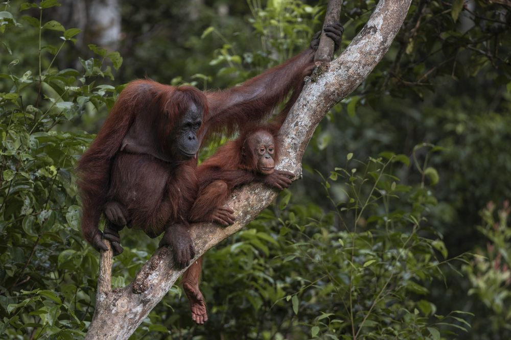 Фотография автора Anil Prabhakar